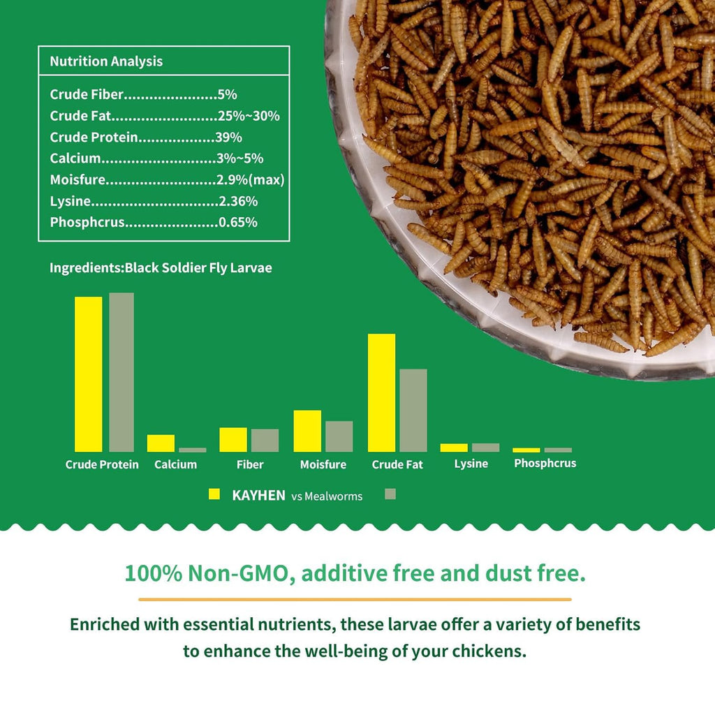 Dried Black Soldier Fly Larvae Treats for Chickens Wild Birds Ducks 10LB | More Calcium Than Mealworms High-Protein Non-GMO Pure Natural