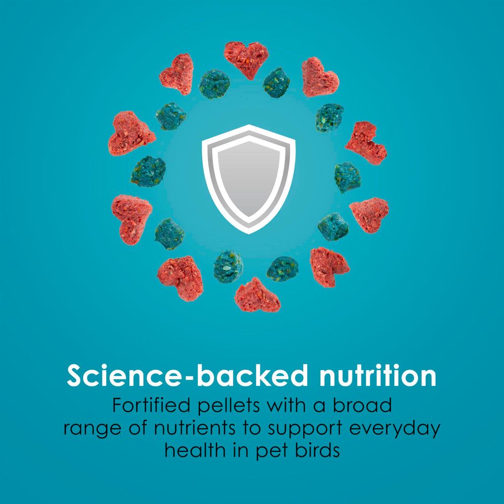 Kaytee Forti-Diet Pro Health Nourish+Protect Parakeet Food, 2 Pounds | Balanced digestion daily. Parakeet seed with superfoods. Prebiotics, probiotics, small bird food