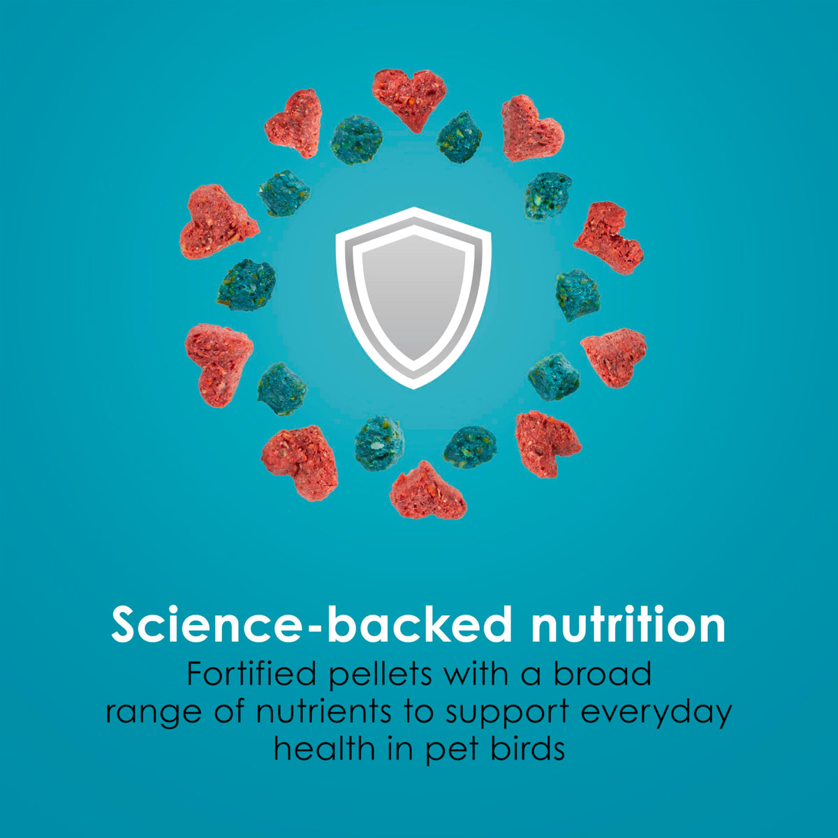 Kaytee Forti-Diet Pro Health Nourish+Protect Parakeet Food, 2 Pounds | Balanced digestion daily. Parakeet seed with superfoods. Prebiotics, probiotics, small bird food