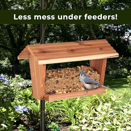 Kaytee Wild Bird Ultra No Mess Nut & Fruit Food Seed Blend For Blue Jays, Woodpeckers, Juncos, Cardinals, Grosbeaks, Sparrows, and Finches, 5.5 Pound
