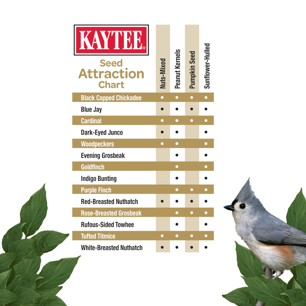 Kaytee Wild Bird Ultra No Mess Nut & Fruit Food Seed Blend For Blue Jays, Woodpeckers, Juncos, Cardinals, Grosbeaks, Sparrows, and Finches, 5.5 Pound