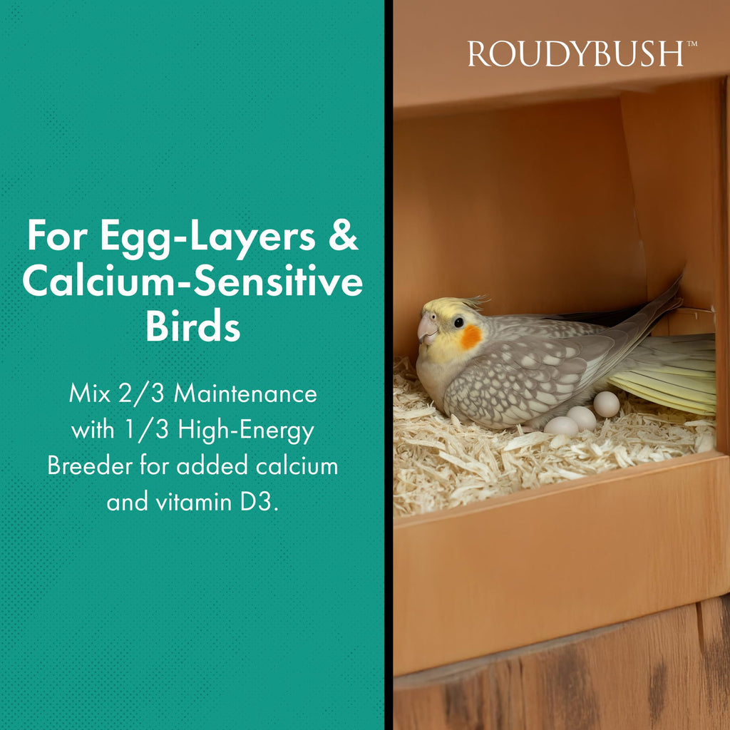 RoudyBush Daily Maintenance Food for Birds - Scientifically Formulated Bird Feed - Bird Food Pellets w/Corn, Wheat, Soy & More - Nutritious & Healthy Feed for Birds (Mini, 44oz)
