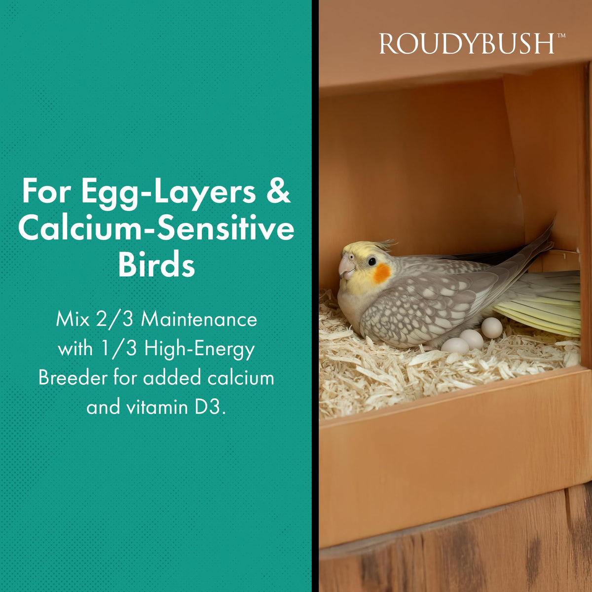 RoudyBush Daily Maintenance Food for Birds - Scientifically Formulated Bird Feed - Bird Food Pellets w/Corn, Wheat, Soy & More - Nutritious & Healthy Feed for Birds (Mini, 44oz)