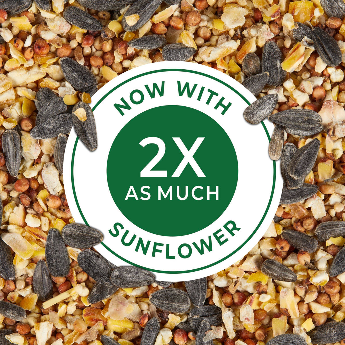 Kaytee Wild Bird Food Basic Seed Blend, 5 lb | Attract backyard birds. Wild bird seed mix with sunflower. Fortified, birdseed, year-round