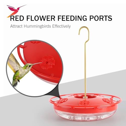 eWonLife 2 Pack 16 oz Saucer Hummingbird Feeders for Outdoors, Garden Decor | Built-in Ant Moat, 5 Bee Proof Feeding Ports, BFA Free Plastic, Easy Clean, Leak-Proof Dish-Style