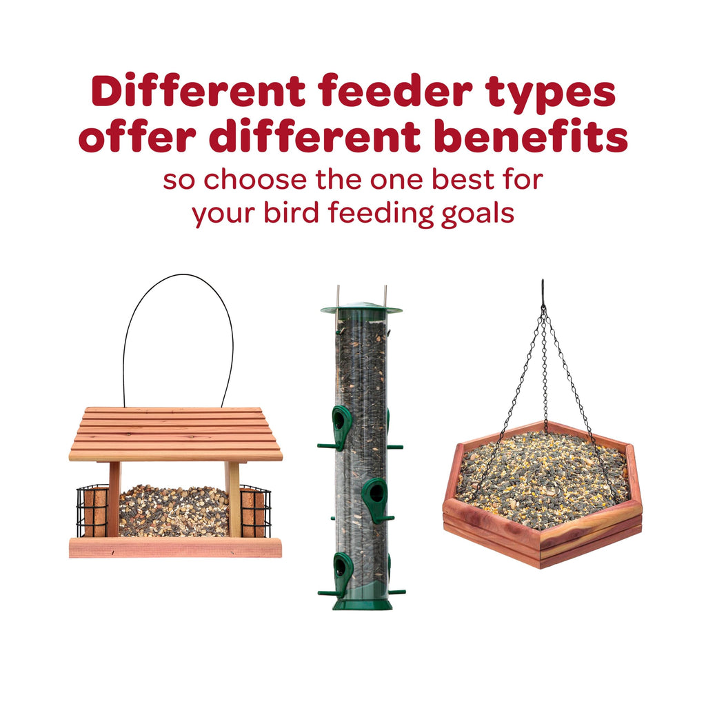 Kaytee Wild Finch Bird Food Stand Up Bag, 5 Pounds