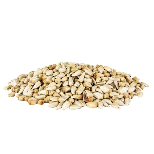 Pennington Select Safflower Seed 15 lb Bag | Bird Seeds for Outside Wild Birds, Enriched with Vitamins and Nutrients, Works in Hopper, Gazebo and Tube Feeders