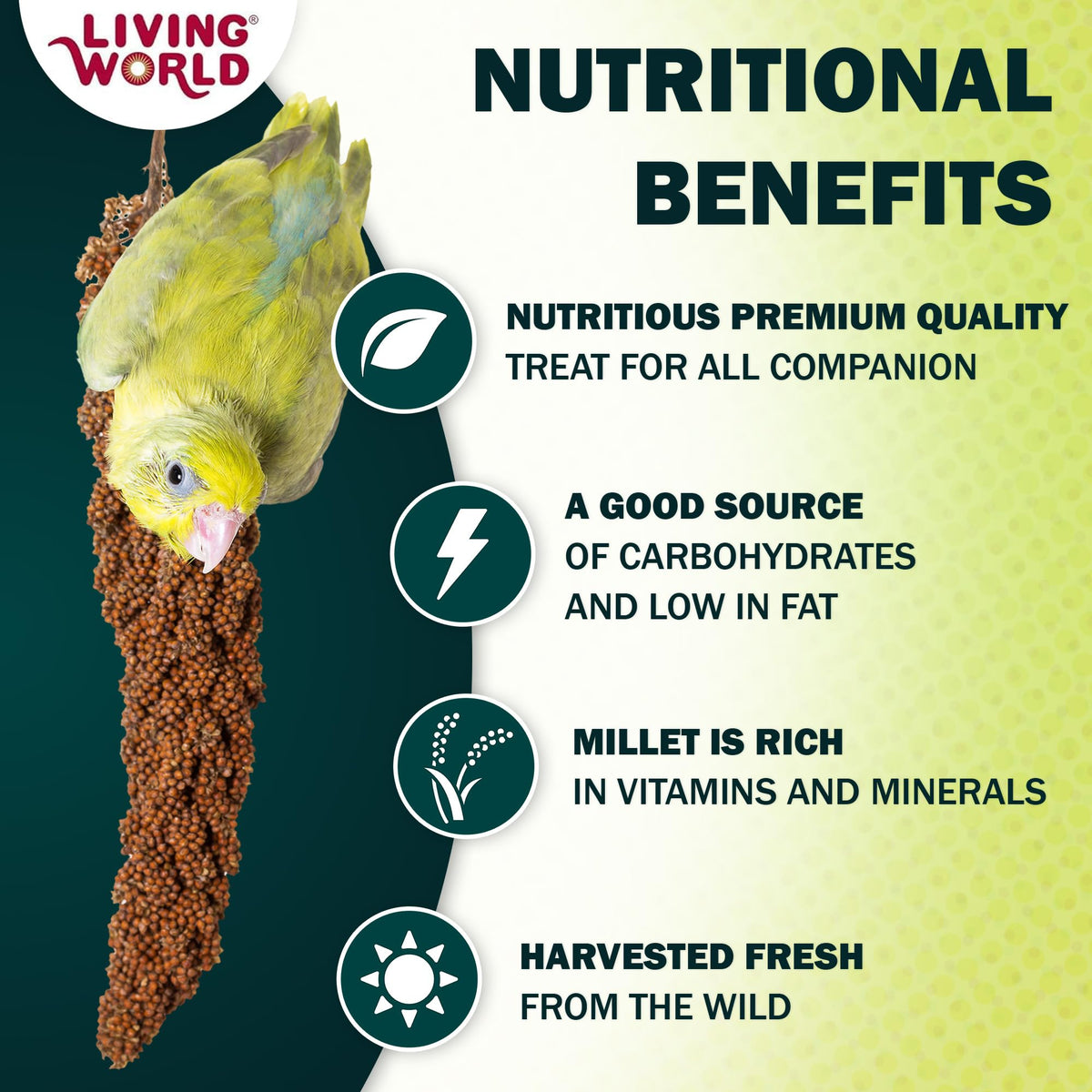 Living World Millet Spray for Birds - 3.5 oz Bag | 100% Natural, Wild-Harvested, Premium Treat - Spray Millet for Budgies, Canaries, Finches, Cockatiels & Other Pet Birds