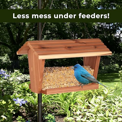 Kaytee Wild Bird No Mess Food Seed Blend for Cardinals, 10 Pound | Cleaner feeding. No mess bird seed. Shell-free, 100% edible, no grow bird seed