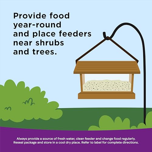 Kaytee Nut & Fruit Wild Bird Seed, 5 lb
