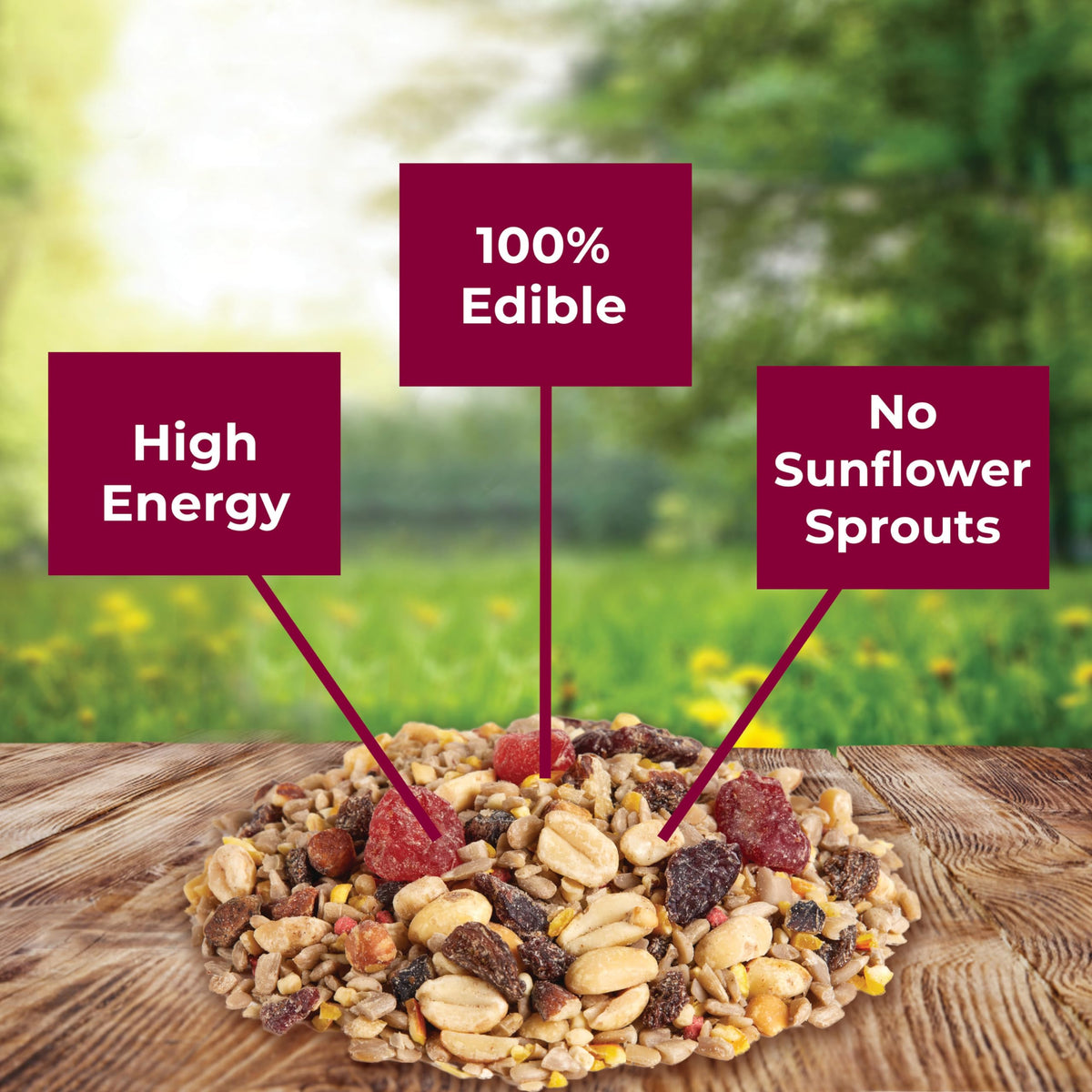 Kaytee Wild Bird Ultra No Mess Nut & Fruit Food Seed Blend For Blue Jays, Woodpeckers, Juncos, Cardinals, Grosbeaks, Sparrows, and Finches, 5.5 Pound