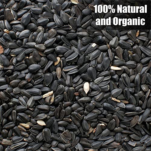 Old Potters Wildlife Black Oil Sunflower Seeds, 12 lbs | For Birds and Wildlife, Non-GMO, USA Grown on Small Farms