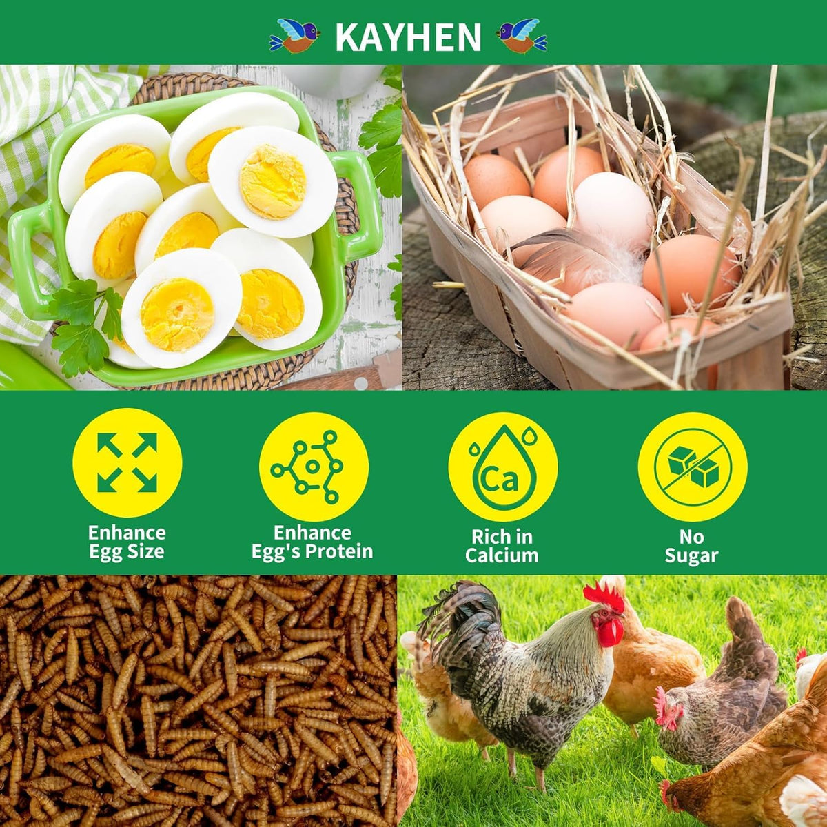 Dried Black Soldier Fly Larvae Treats for Chickens Wild Birds Ducks 10LB | More Calcium Than Mealworms High-Protein Non-GMO Pure Natural