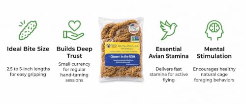Birds LOVE® Millet Tips & Tails for Birds – Premium Spray Millet Treat, Non-GMO, USA Grown – Natural Bird Food for Parakeets, Cockatiels, Budgies, Lovebirds, Finches, Canaries & Parrots – 1 lb