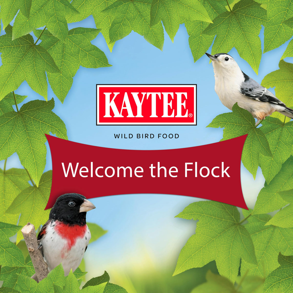 Kaytee Wild Finch Bird Food Stand Up Bag, 5 Pounds