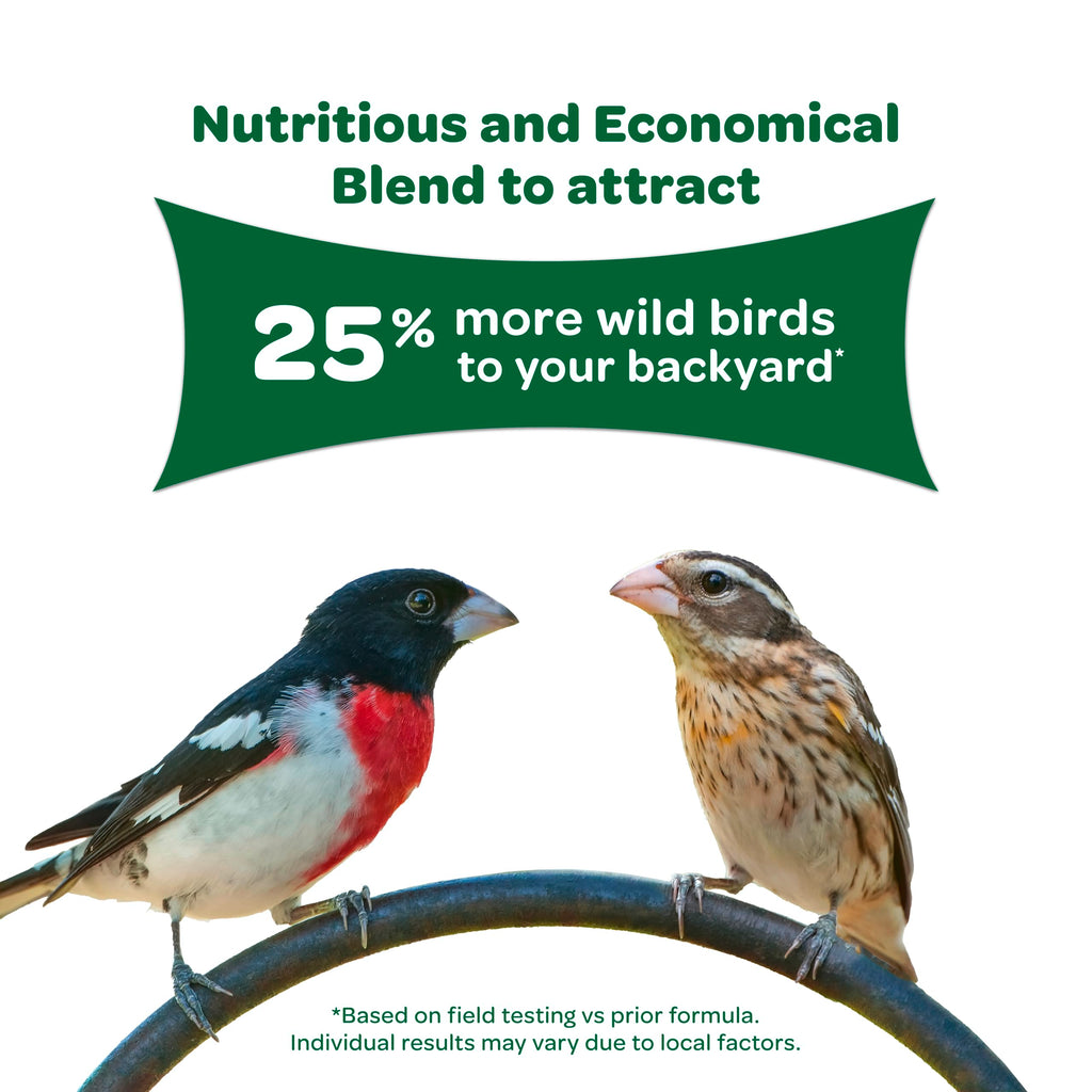 Kaytee Wild Bird Food Basic Seed Blend, 5 lb | Attract backyard birds. Wild bird seed mix with sunflower. Fortified, birdseed, year-round