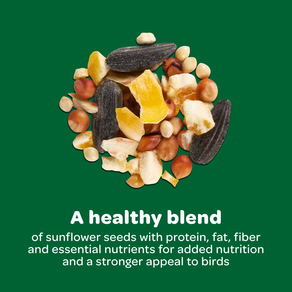 Kaytee Wild Bird Food Basic Seed Blend, 5 lb | Attract backyard birds. Wild bird seed mix with sunflower. Fortified, birdseed, year-round