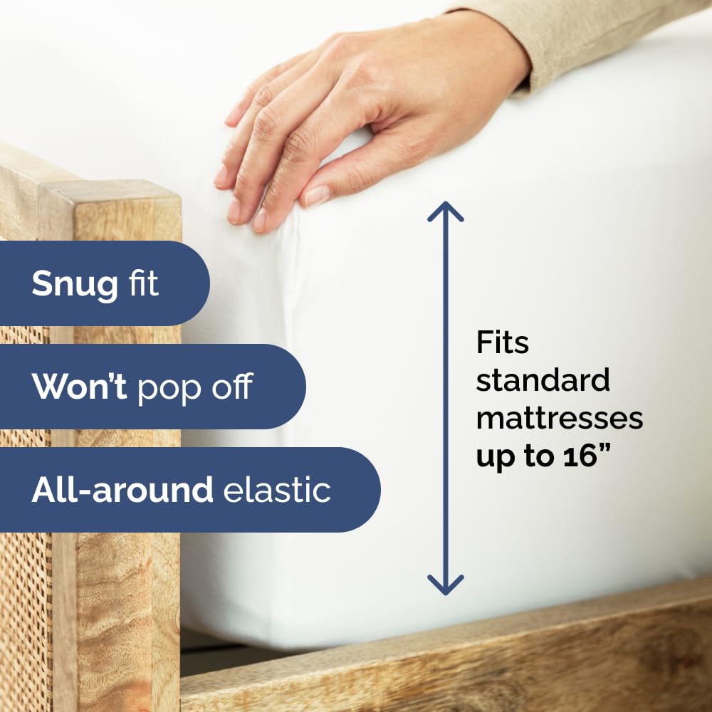 Queen Fitted Sheet - Single Fitted Sheet Only - 8-16" Deep Pockets - White | Bottom Fitted Sheet Only w/ 8-16 Inch Deep Pockets, Ultra-Soft, Breathable & Wrinkle Free, Easy-Care, Fade & Shrink Resistant