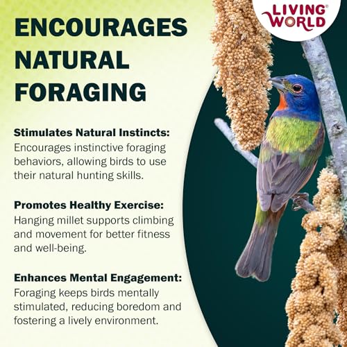Living World Millet Spray for Birds - 3.5 oz Bag | 100% Natural, Wild-Harvested, Premium Treat - Spray Millet for Budgies, Canaries, Finches, Cockatiels & Other Pet Birds