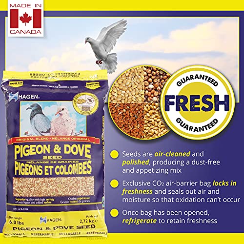 Hagen Pigeon & Dove Seed, Original Formula Bird Food, 6 lb Bag | Nutritionally Complete Seed Mix with Vitamins & Minerals, Wild & Captive Bird Diet, Insect-Resistant Air-Tight Packaging
