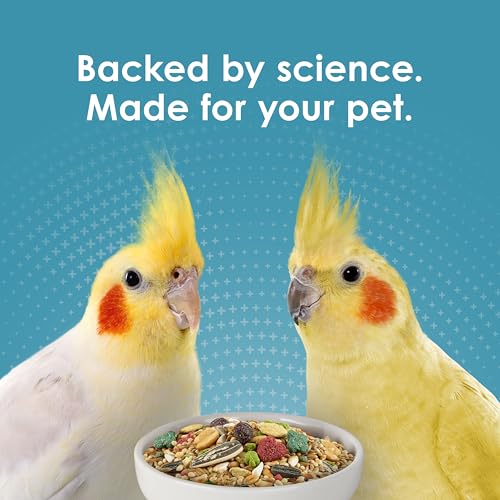 Kaytee Forti-Diet Pro Health Nourish+Protect Cockatiel Food, 5 lb | Digestive support daily. Parrot food for cockatiels. Prebiotics, probiotics, bird feed