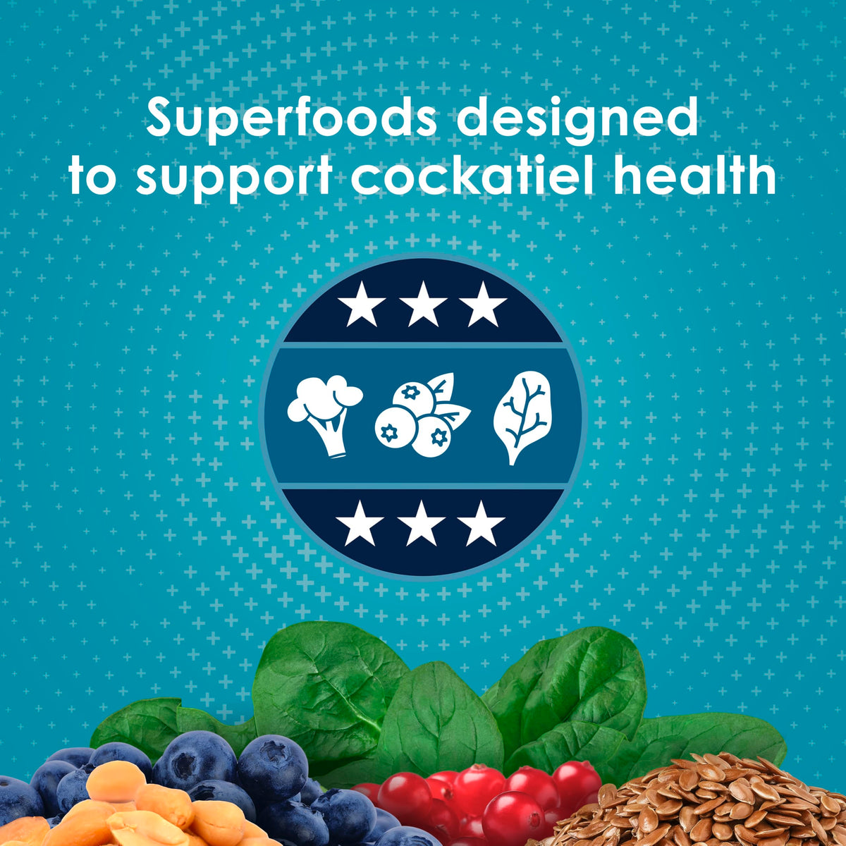 Kaytee Forti-Diet Pro Health Nourish+Protect Cockatiel Food, 5 lb | Digestive support daily. Parrot food for cockatiels. Prebiotics, probiotics, bird feed