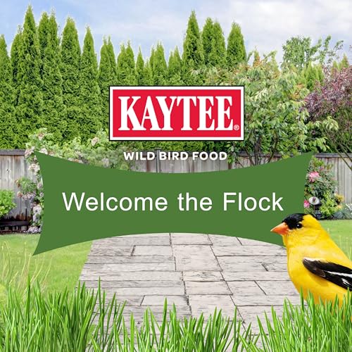 Kaytee Ultimate No Mess Wild Bird Seed, 9.75 Pounds | No Hulls, Less Mess Bird Seed Blend, 100% Edible Bird Seed Blend, Less Waste Around Feeders, Cleaner Backyard Feeding