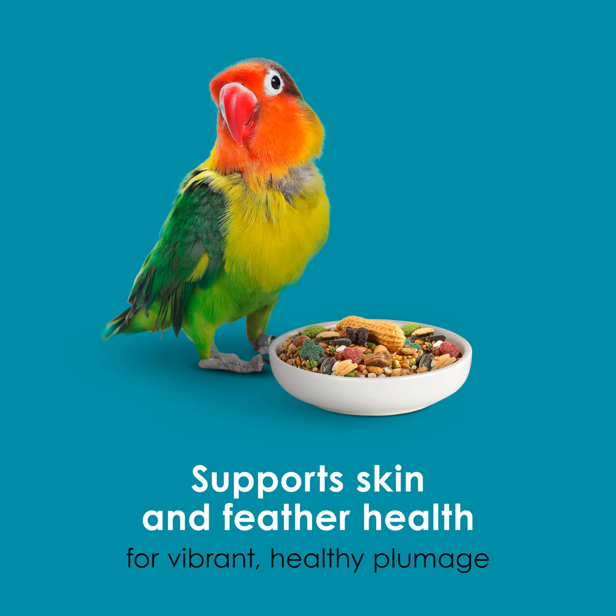Kaytee Forti-Diet Pro Health Nourish+Protect Conure & Lovebird Food, 4 lb | Balanced digestion. Conure food with prebiotics and probiotics. Parrot food, antioxidants, omega-3s