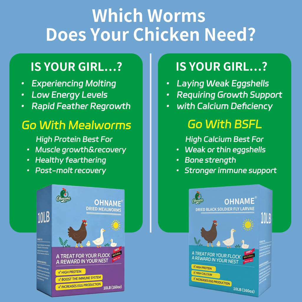OHNAME 10LB Dried Black Soldier Fly Larvae for Chickens | Factory Direct-No Middle Man, 4% Calcium for Strong Eggshells, 43% Protein Natural Treats for Vibrant Feathers