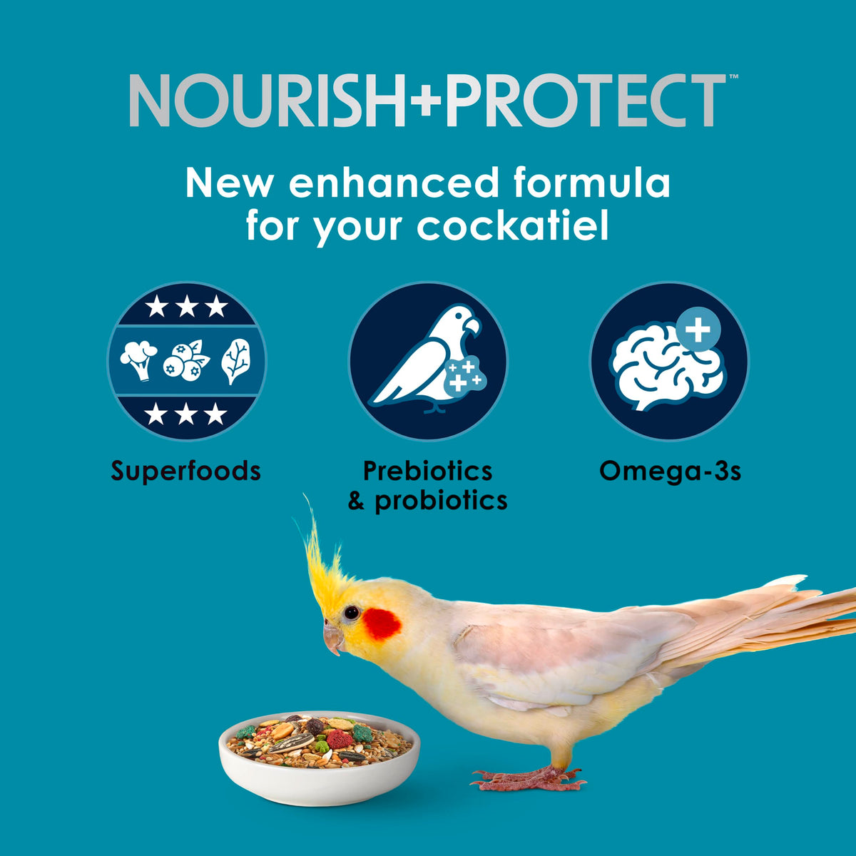 Kaytee Forti-Diet Pro Health Nourish+Protect Cockatiel Food, 5 lb | Digestive support daily. Parrot food for cockatiels. Prebiotics, probiotics, bird feed