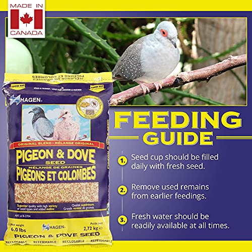 Hagen Pigeon & Dove Seed, Original Formula Bird Food, 6 lb Bag | Nutritionally Complete Seed Mix with Vitamins & Minerals, Wild & Captive Bird Diet, Insect-Resistant Air-Tight Packaging