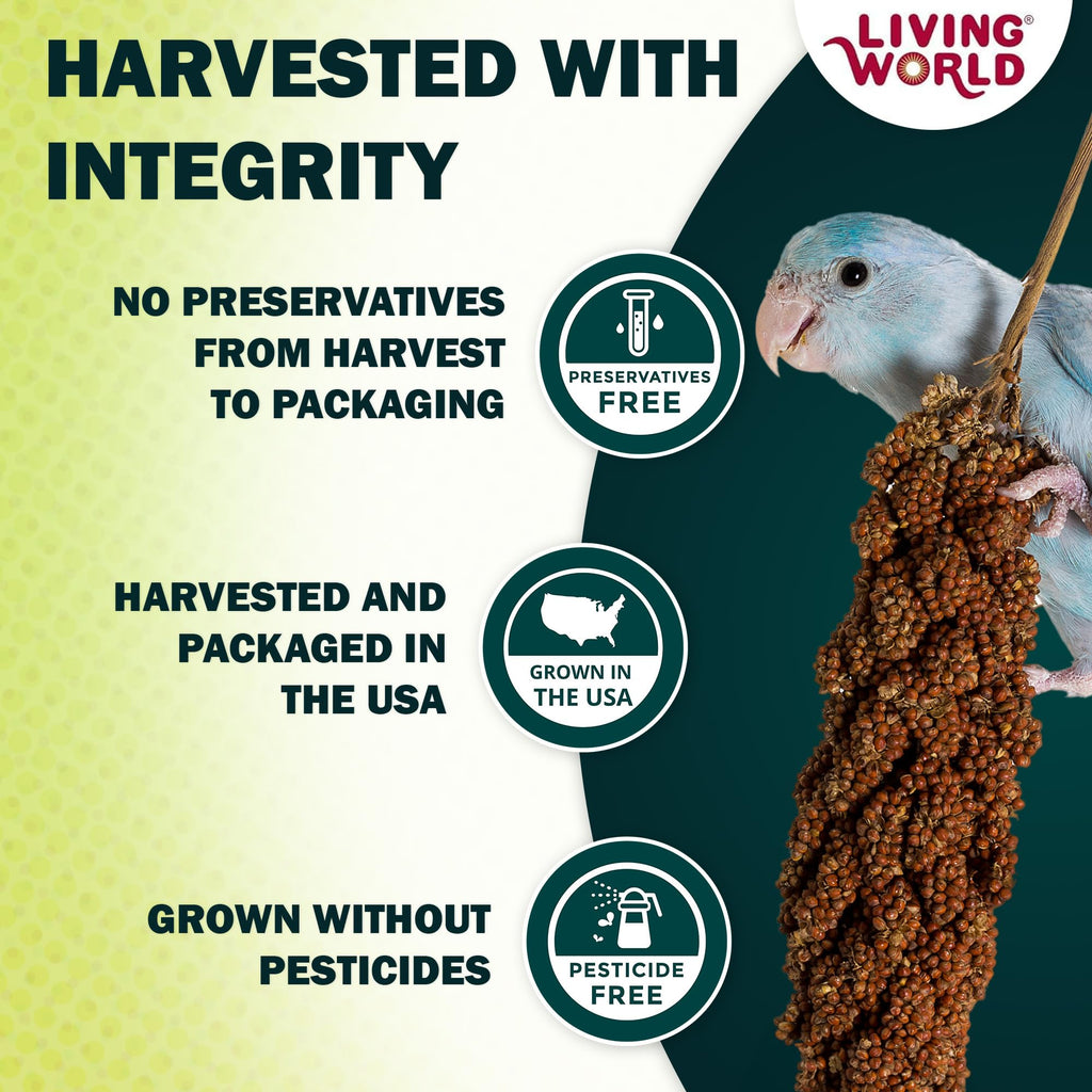 Living World Millet Spray for Birds - 3.5 oz Bag | 100% Natural, Wild-Harvested, Premium Treat - Spray Millet for Budgies, Canaries, Finches, Cockatiels & Other Pet Birds