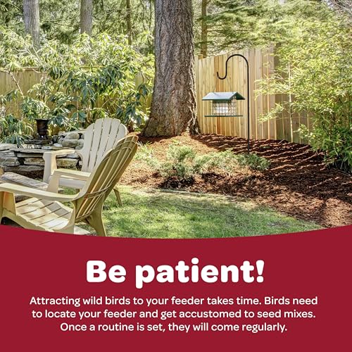 Kaytee All American Wild Bird Food Seed Blend for Cardinals, Blue Jays, Finches & Other Outdoor Wild Birds, 5 Pounds