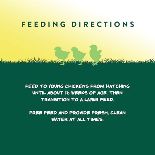 Manna Pro Medicated Chick Starter Grower Feed, Amprolium & Protein, 5 lb | Complete Chick Feed Crumbles, Amprolium for Coccidiosis Prevention, High Protein Nutrition for Growing Chicks, Made in USA