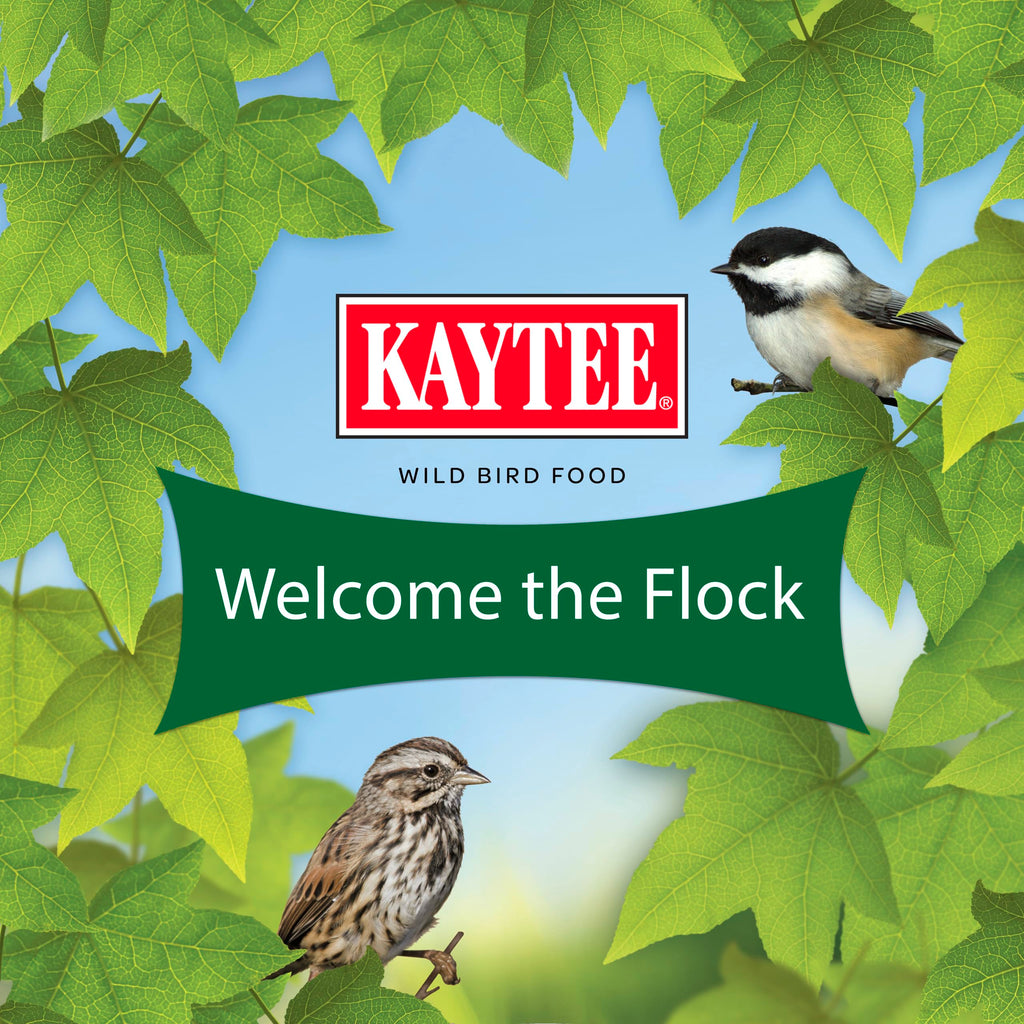 Kaytee Wild Bird Food Basic Seed Blend, 5 lb | Attract backyard birds. Wild bird seed mix with sunflower. Fortified, birdseed, year-round