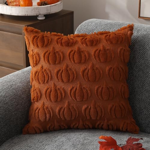 DFXSZ Fall Pillow Covers 18x18 2Pcs Rust Pumpkin Fall Decorations for Home | Fall decor Set of 2 Throw Pillow Cases Soft Plush Faux Fur Wool Couch Cushion for Chair Sofa Bedroom Living Room Home Decor