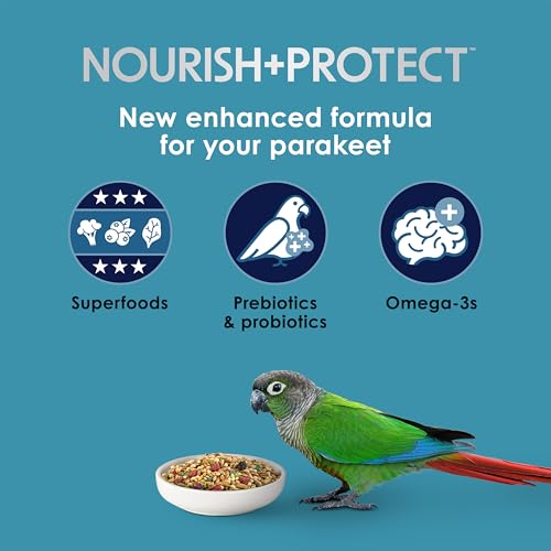 Kaytee Forti-Diet Pro Health Nourish+Protect Parakeet Food, 2 Pounds | Balanced digestion daily. Parakeet seed with superfoods. Prebiotics, probiotics, small bird food