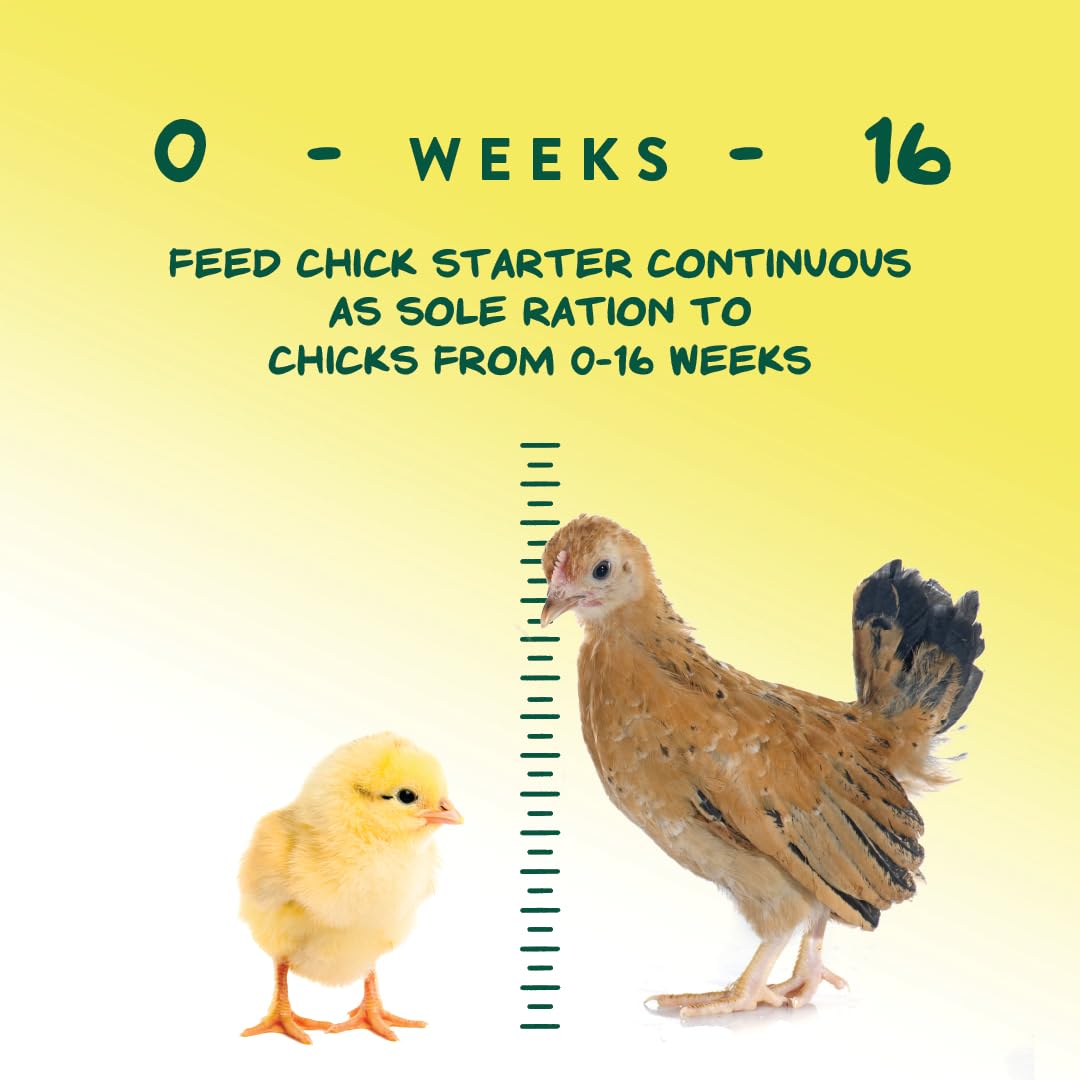Manna Pro Medicated Chick Starter Grower Feed, Amprolium & Protein, 5 lb | Complete Chick Feed Crumbles, Amprolium for Coccidiosis Prevention, High Protein Nutrition for Growing Chicks, Made in USA