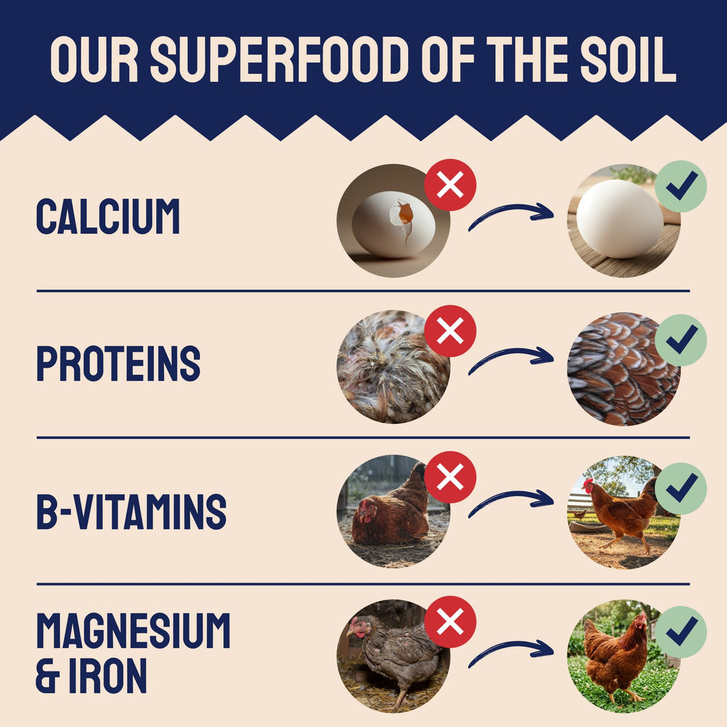 Hatortempt 10lb Black Soldier Fly Larvae for Chickens, Calci Chicken Treats | 80x More Calcium Than Mealworms - Black Soldier Fly Larvae for Chickens - Non-GMO - Fed On An Organic Diet