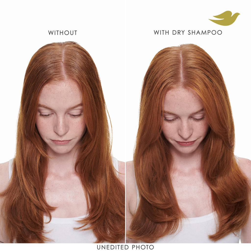 Dove Dry Shampoo Spray, Hair Volume & Fullness, Absorbs Oil, 5 oz (2-Pack) | Refreshes Hair Without Washing, Absorbs Excess Oil, Adds Volume and Fullness, Convenient Two-Pack Dry Shampoo