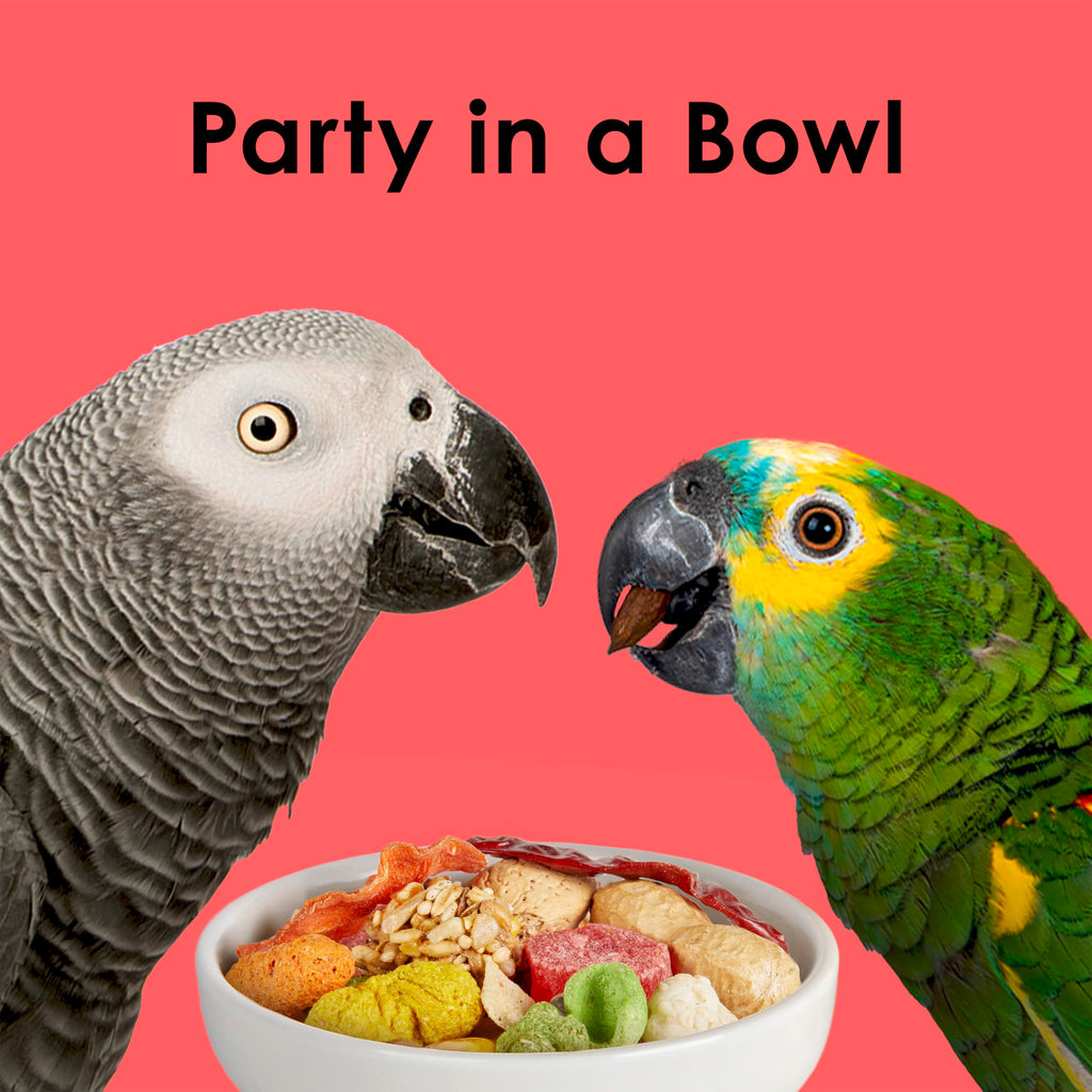Kaytee Fiesta Parrot Food for Large Birds, 2.5 Pounds | Fun feeding. Bird food with fruits, veggies, grains. Bird seeds, shapes and textures for natural foraging