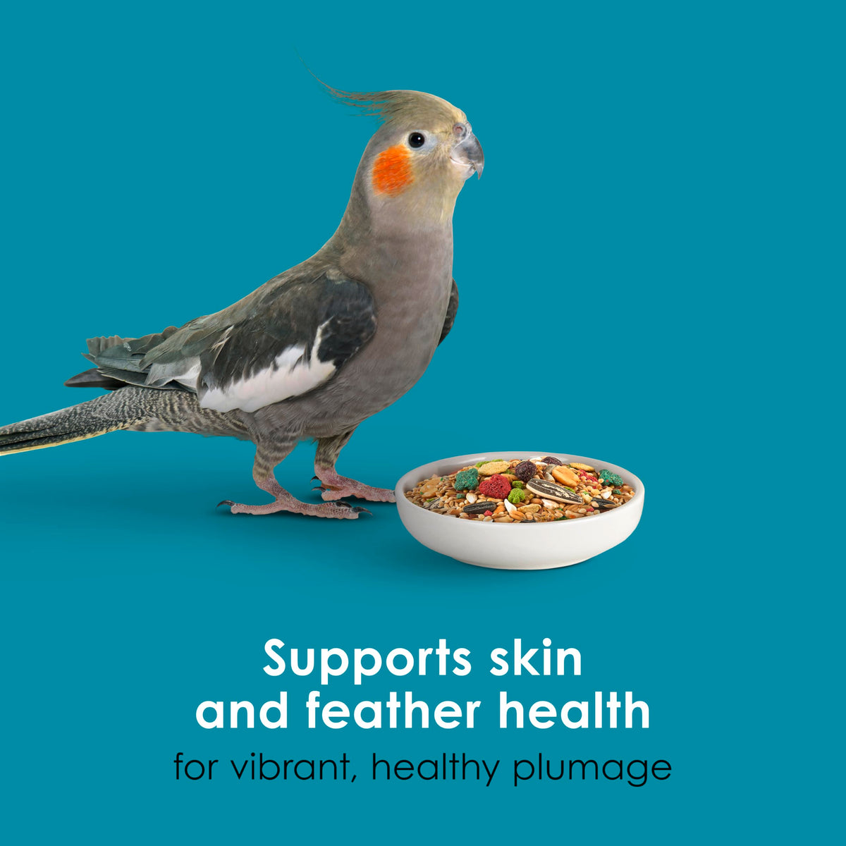 Kaytee Forti-Diet Pro Health Nourish+Protect Cockatiel Food, 5 lb | Digestive support daily. Parrot food for cockatiels. Prebiotics, probiotics, bird feed