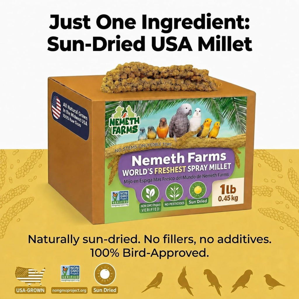 Nemeth Farms Spray Millet - Edible Tops Only, Non-GMO and Sun-Dried - 1 lb for Parakeets, Canaries and Finches