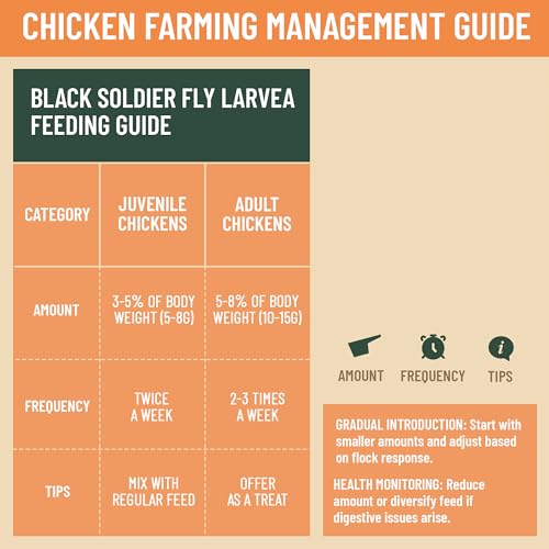 Joyprotyn 5LB Non-GMO Dried Black Soldier Fly Larvae for Chickens – 85X More Calcium Grubs Than Mealworms for Strong Eggshells & Healthy Growth - High Protein for Chickens, Birds, Ducks, Geese & Pets