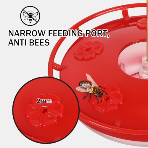 eWonLife 2 Pack 16 oz Saucer Hummingbird Feeders for Outdoors, Garden Decor | Built-in Ant Moat, 5 Bee Proof Feeding Ports, BFA Free Plastic, Easy Clean, Leak-Proof Dish-Style
