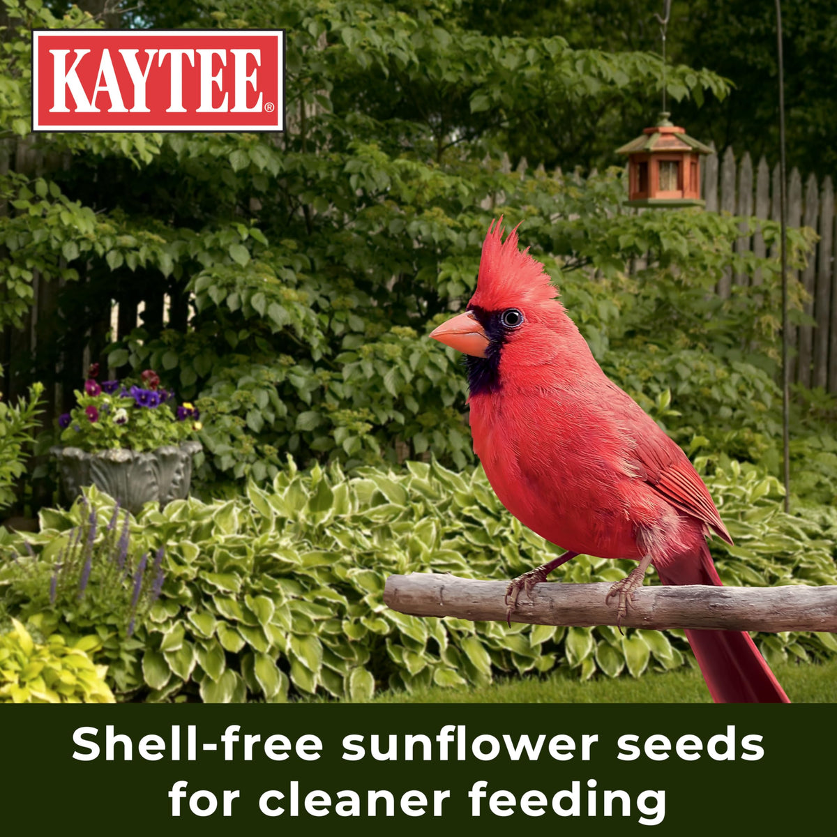 Kaytee Wild Bird Ultra No Mess Nut & Fruit Food Seed Blend For Blue Jays, Woodpeckers, Juncos, Cardinals, Grosbeaks, Sparrows, and Finches, 5.5 Pound
