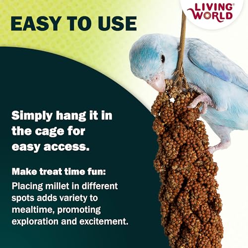Living World Millet Spray for Birds - 3.5 oz Bag | 100% Natural, Wild-Harvested, Premium Treat - Spray Millet for Budgies, Canaries, Finches, Cockatiels & Other Pet Birds