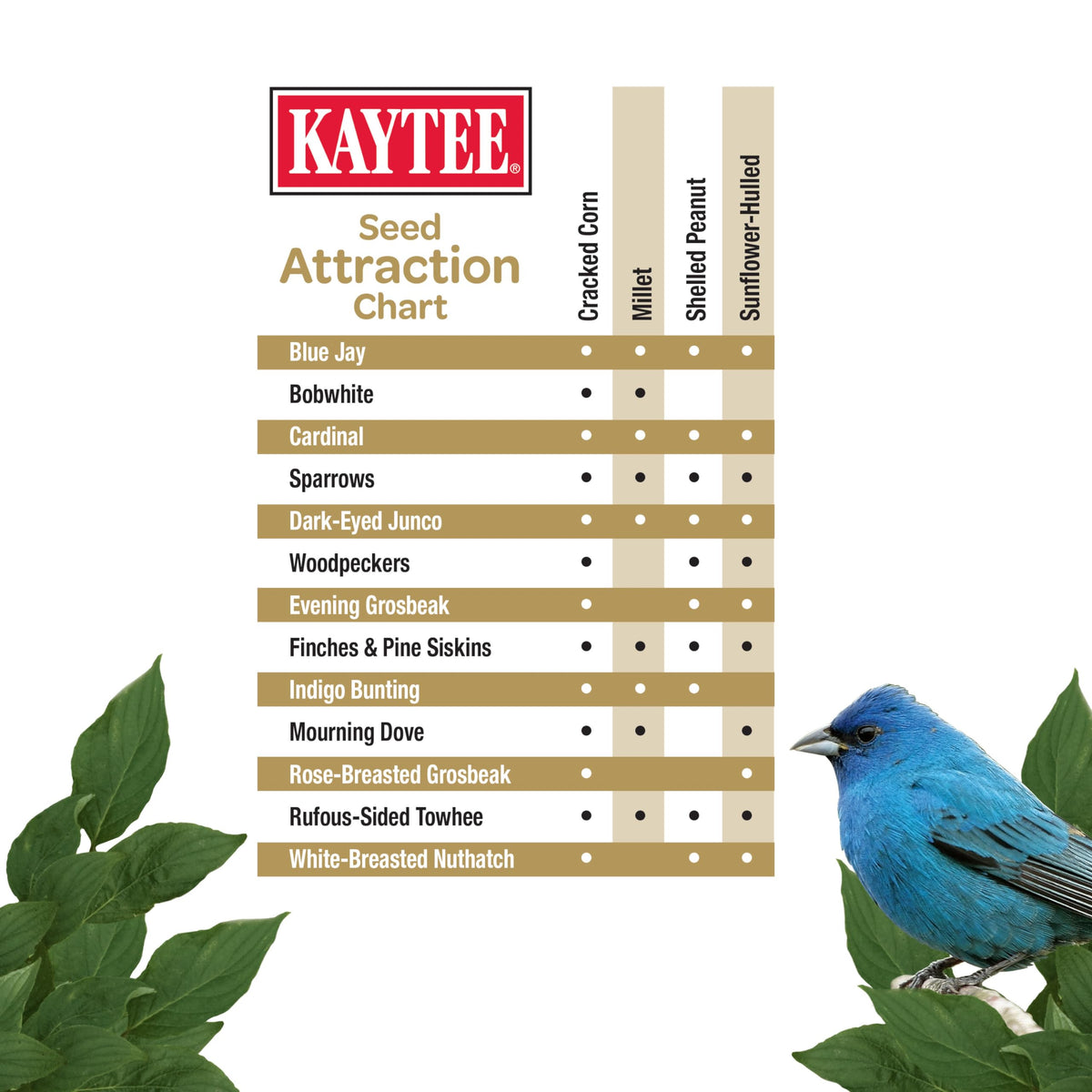 Kaytee Wild Bird No Mess Food Seed Blend for Cardinals, 10 Pound | Cleaner feeding. No mess bird seed. Shell-free, 100% edible, no grow bird seed