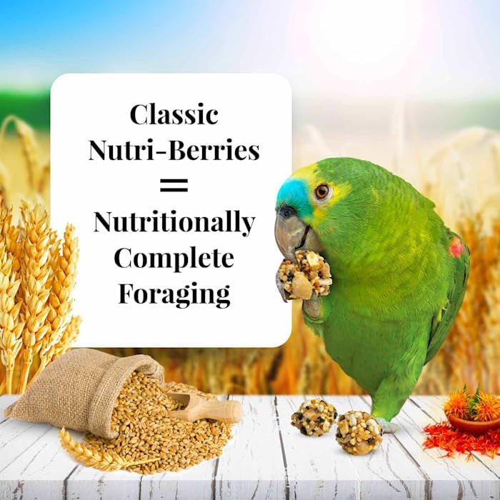 LAFEBER'S Classic Nutri-Berries Pet Bird Food, for Parrots, 3.25 lb | NUTRITIONALLY COMPLETE FORAGING PARROT FOOD: formulated by top avian veterinarians and avian nutritionists
