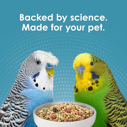 Kaytee Forti-Diet Pro Health Nourish+Protect Parakeet Food, 2 Pounds | Balanced digestion daily. Parakeet seed with superfoods. Prebiotics, probiotics, small bird food